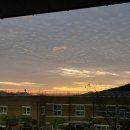 우슬경기장 내 | 2025 해남땅끝 전국마라톤대회 (인생 첫 마라톤) 10km 코스 후기,메달,완주간식,주차 등등