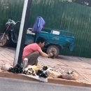 노점야채
