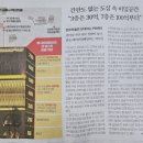 와이즈앤영