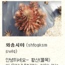 황산농장 이미지