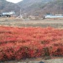 (주)아주농장 이미지