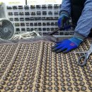 벧엘의료기 이미지