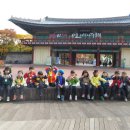 11월 7일 능동 어린이 대공원 및 서울 안전체험관1 이미지