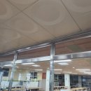 울산미세방충망 한국방충망 울산점 방충망 교체 후기