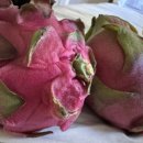 기쁜약국 이미지