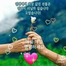 좋은인연 티스토리