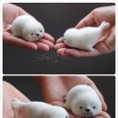 니들펠트 이미지