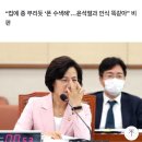 추미애 “한동훈 폰 분실에 형사 투입? 경찰청장 옷 벗어야 할 사안” 이미지