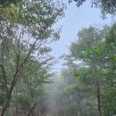 칠갑산식당 이미지