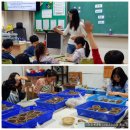 용학초등학교 이미지