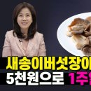 5천원 일주일 반찬 OK! 영양폭탄 새송이버섯 장아찌 만들기! 조회수 59만회 1년 전 이미지