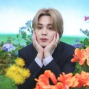 지민40 이미지