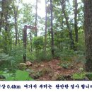 2018년 8월19일 (셋째주 일요일)정기산행 정선 백운산(882.5m) 신청하기 이미지