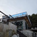 흥대길 | 원주 대형 카페 한라대 주변 &#39;카페투파인&#39; 후기