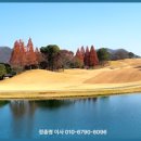 지산그늘집