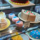 하비하우스 이미지