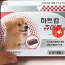 엘크루약국 | 강아지 심장사상충약 강아지 하트캅 츄어블정