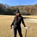 [충북 골프장] 청주 세레니티cc 라운드 후기 그늘집 블루코스 실크코스