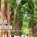 권이네농장
