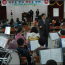 울릉초등학교 이미지