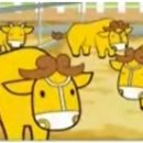 새만금 청보리농장 이미지