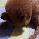 몽이미용실 이미지