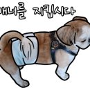 강아지놀이터 이미지