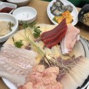 자갈치횟집 | 부산 자갈치 금화횟집 후기 | 홍어애 고래고기 먹어본 로컬 찐맛집