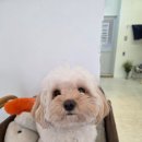 카페상희 이미지