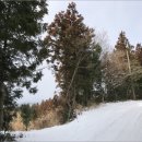 서호동-1 이미지