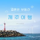 순천승마장 | [제주도 여행] 제주도 내돈내산 맛집 및 카페 후기