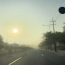 마장 매화둘레길 이미지