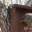 둥지종합관리 연합뉴스
