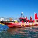 마린스타 이미지