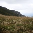 하늘산장 Daum카페