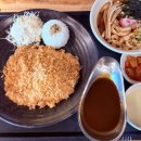 돈까스여행 | 경주 여행 효돈까스 치즈돈까스 + 경량식돈까스 + 우동 후기!