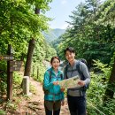 혜성전기 - 마포구 독막로 252 | 여름 휴가로 다녀온 유명산 자연휴양림 계곡 피서 후기! 주차장 명당과 야간 은하수 명소 추천