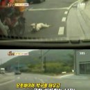 백구오토바이