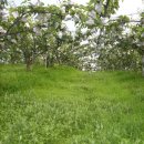 한마음농장 이미지