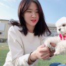 보리쭈꾸미 이미지