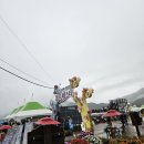 출렁다리마을 | 포천 한탄강 가든페스타 축제 &amp; 세계드론제전, Y자 출렁다리 방문 후기