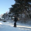 음악이흐르는숲 이미지