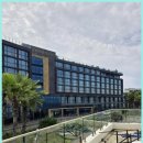 바다를 품은 돼지 이미지