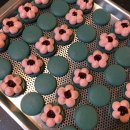 라베리타 이미지