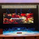 청소년오케스트라 정기연주회 | 라운드 [All-round] - '2025 가평군 청소년 오케스트라 정기연주회 | 공연 기획 및 무대 총괄 (음향...