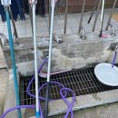 구름포해수욕장 이미지