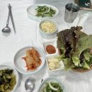 달반늘 이미지