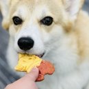 마롱가든 이미지