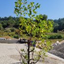 건축사사무소 하우스팩토리 이미지