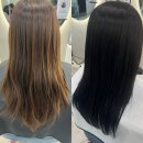 왠보보 | 인천 부평 청천동 미용실 더보보헤어 톤다운 흑발 염색 후기